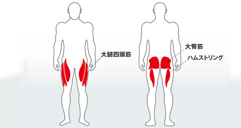 3つの筋力