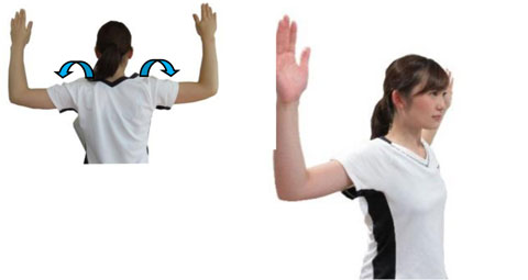 肩甲骨を起こすイメージで手を上に挙げる 肘が下がらないようにキープ